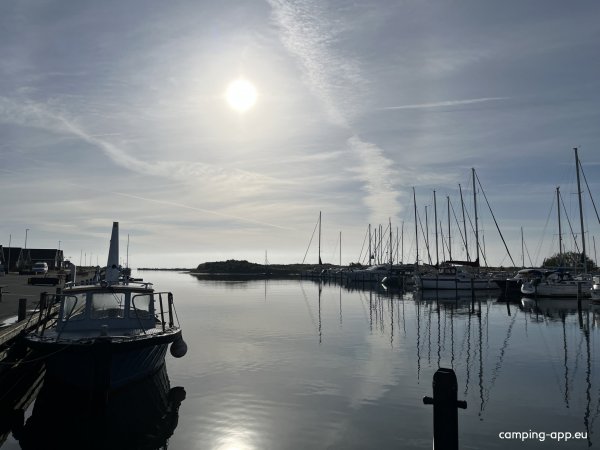 Hou Havn — Foto 6