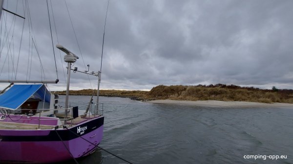 Hou Havn — Foto 3