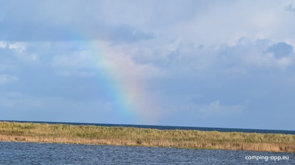 Hou Havn — Foto 4