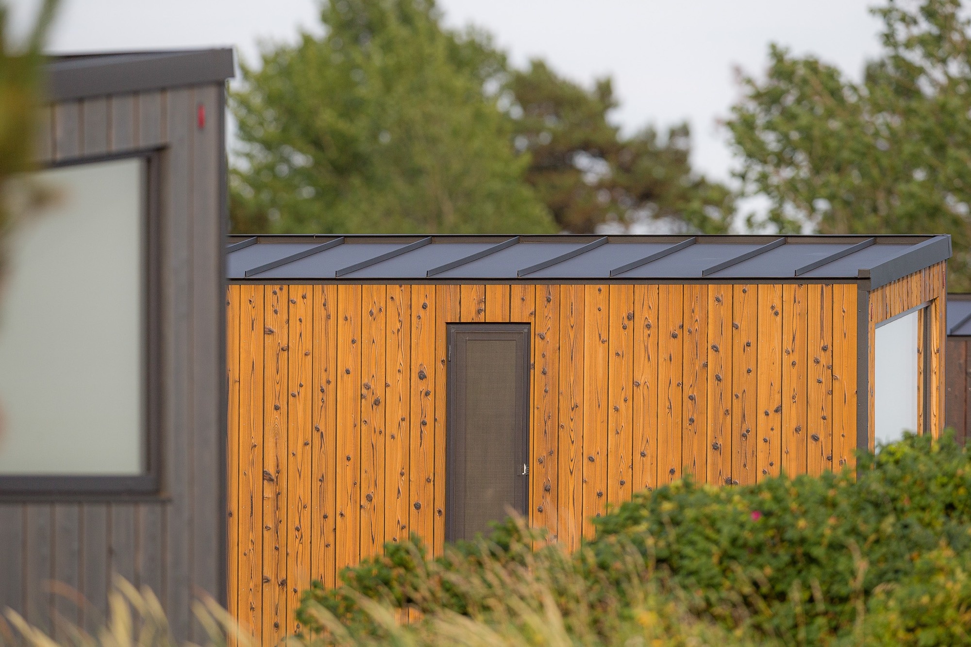 Tiny Seaside - Skarrev — Kemp in Aabenraa