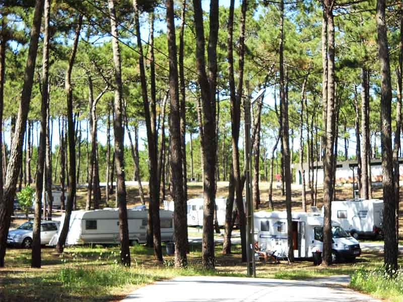 Parque de Campismo Orbitur Valado — Kamp yeri in Nazaré