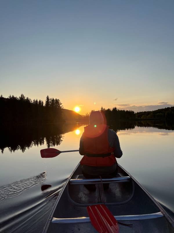 Nya Skogsgården — Photo 3