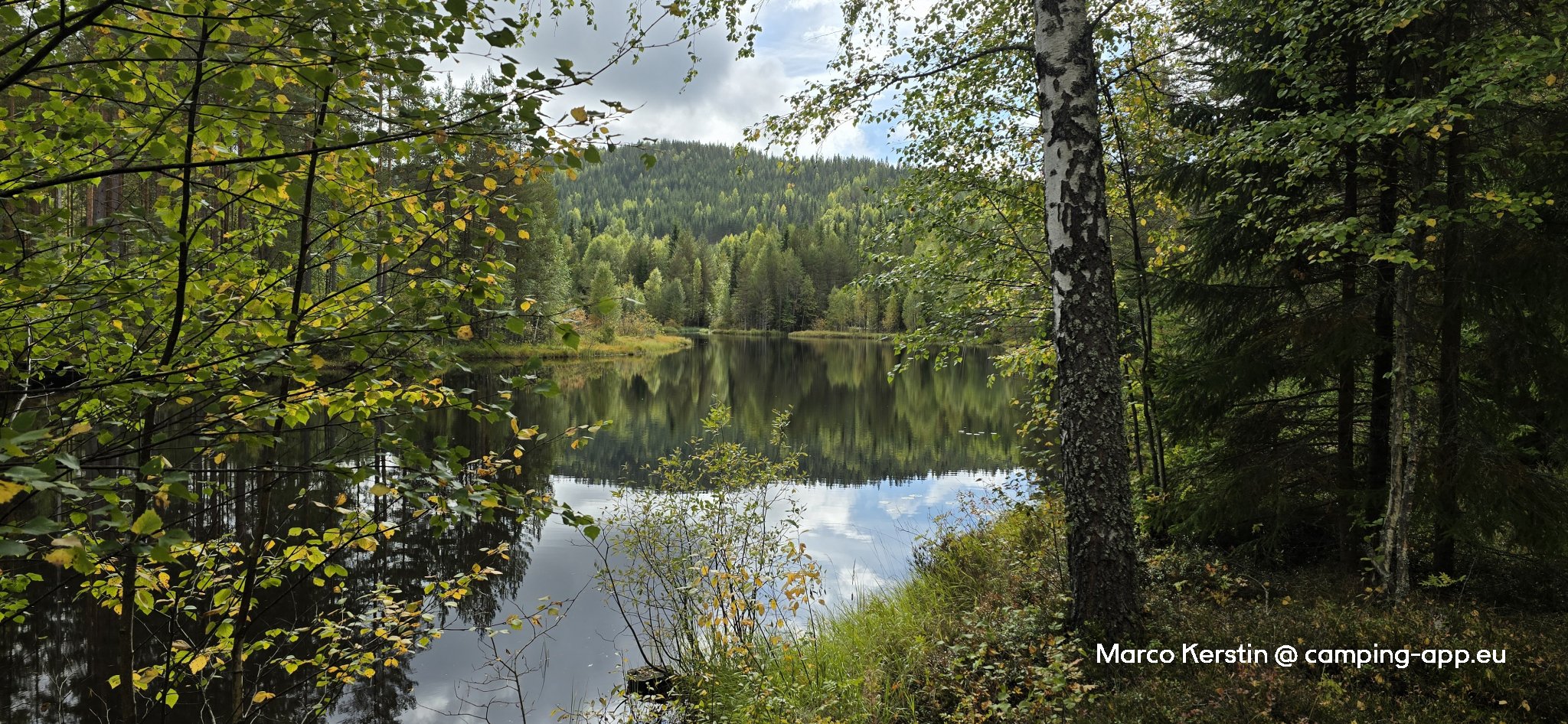 Nya Skogsgården — Foto 3