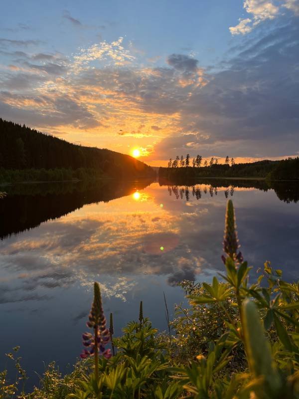 Nya Skogsgården — Photo 5