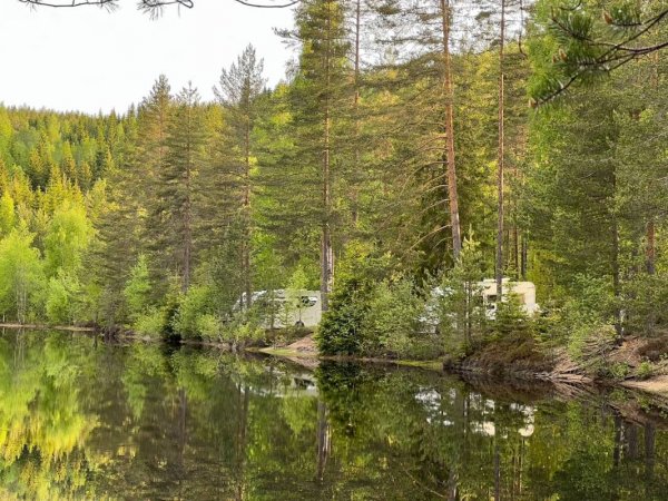 Nya Skogsgården — Photo 4