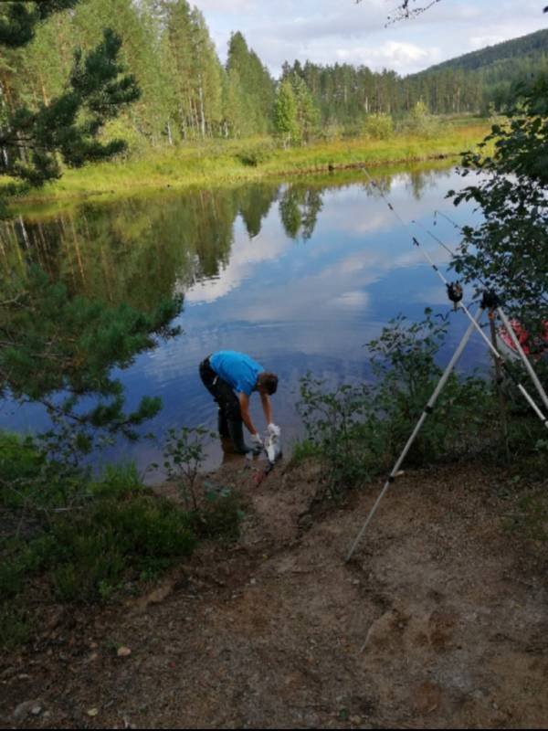 Nya Skogsgården — Photo 6