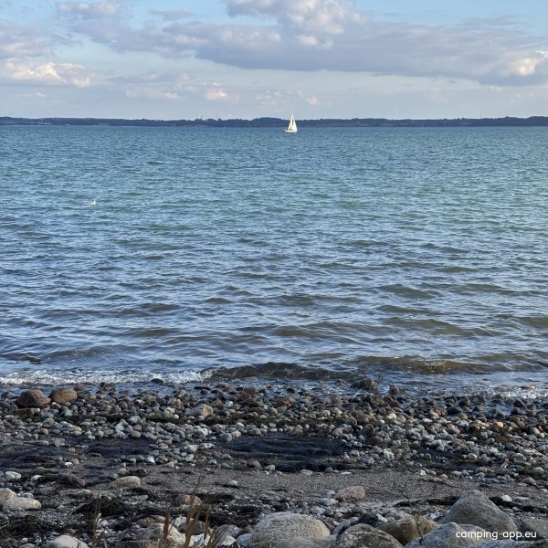 Campingplatz Lehmberg — Photo 6