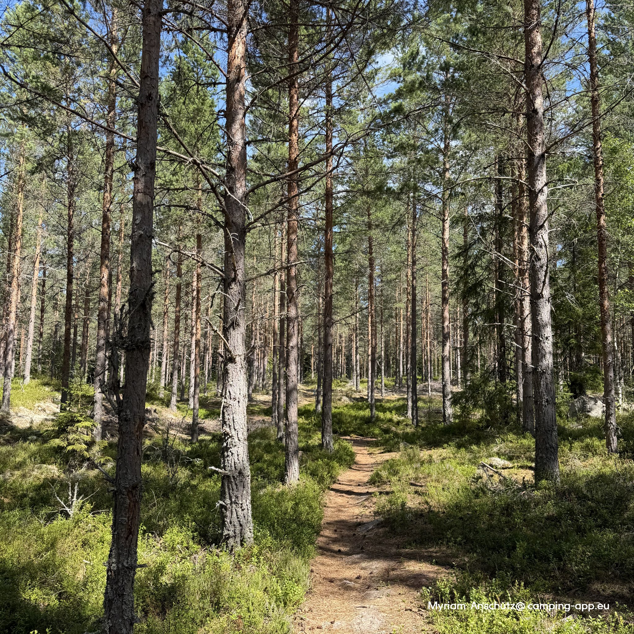 Rokosjøen Camping — Foto 4