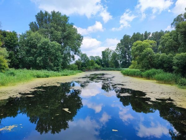 Wasserwanderrastplatz Burow — Foto 4