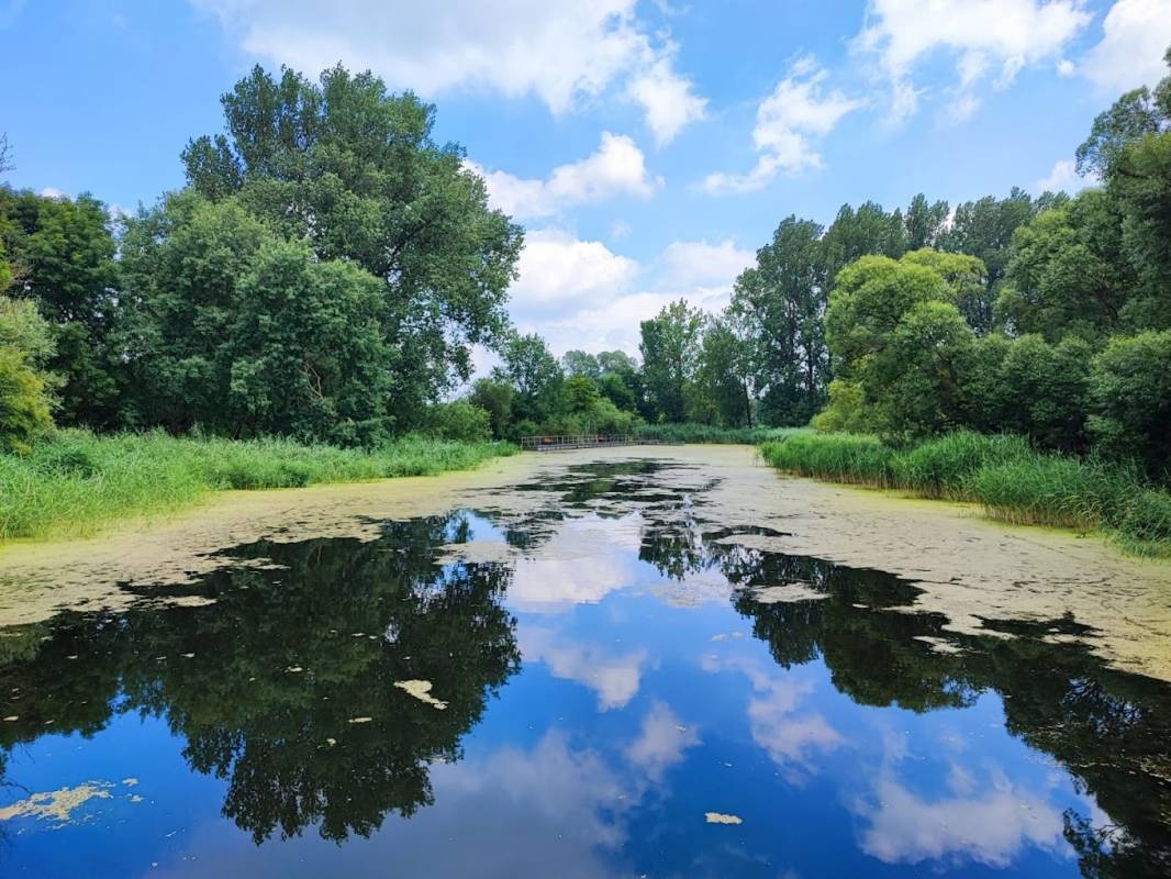 Wasserwanderrastplatz Burow — Area di sosta in Gischow