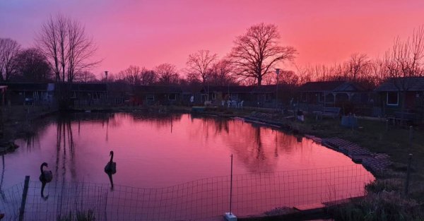 kleine arche wahlstedt segeberger forst — Photo 4
