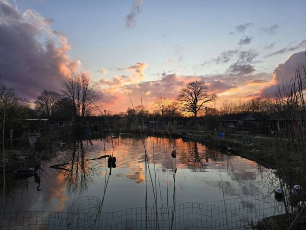 kleine arche wahlstedt segeberger forst