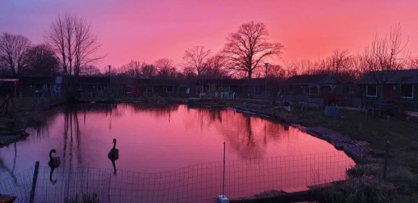 kleine arche wahlstedt segeberger forst — Photo 2