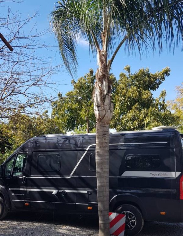 Camping Cortijo San Miguel — Photo 4