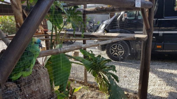 Camping Cortijo San Miguel — Photo 2