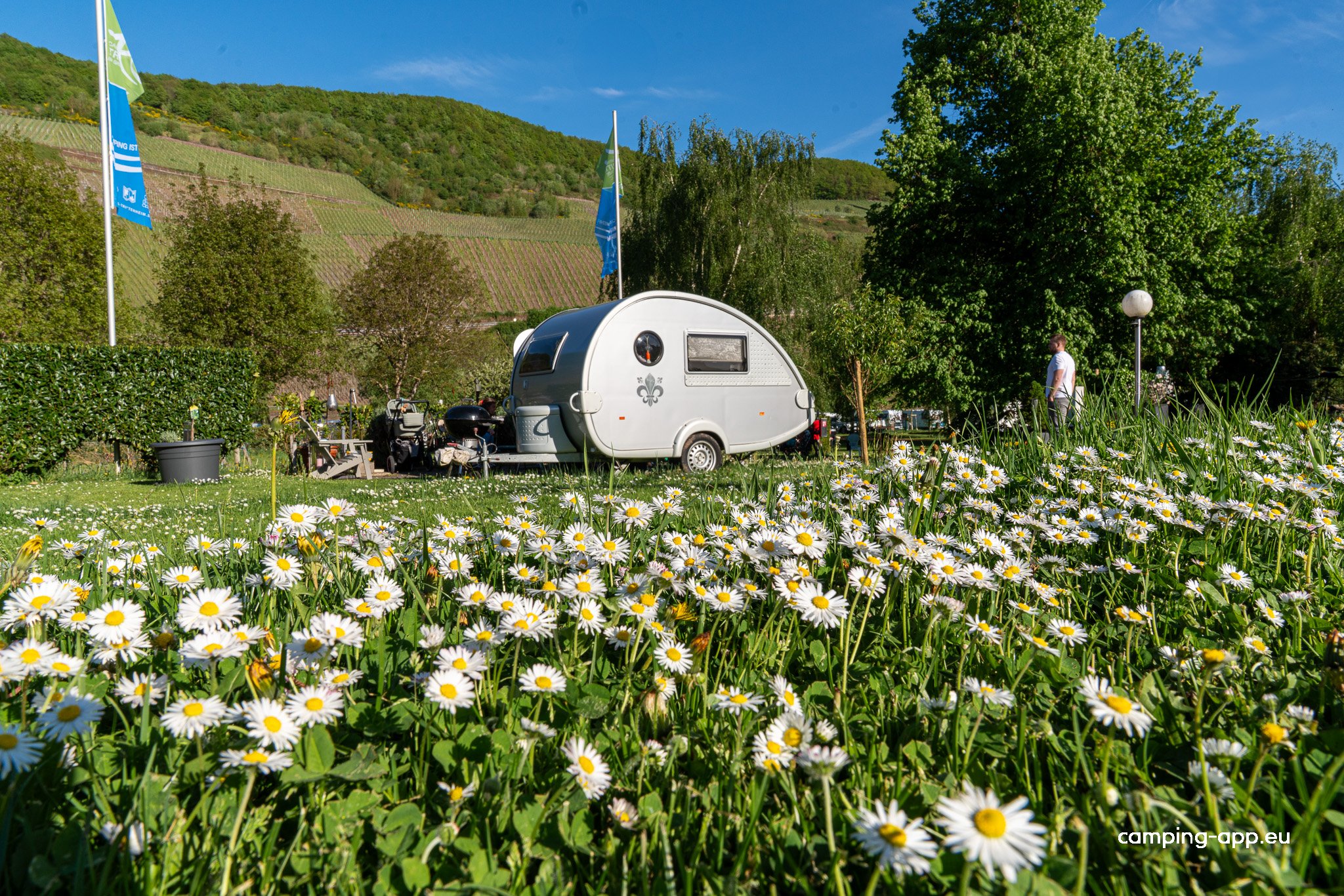 Campingplatz im Grünen Trittenheim — Photo 3