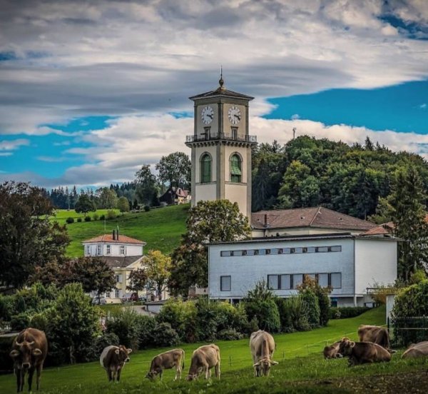 Stellplatz Im Bad — Photo 6