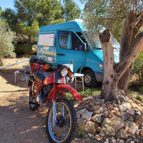 Oasis Moment — Photo 2