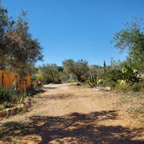 Oasis Moment — Photo 3