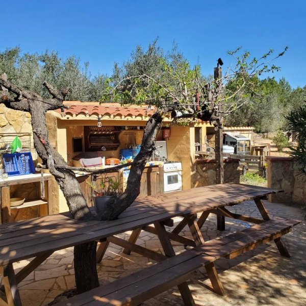 Oasis Moment — Photo 4