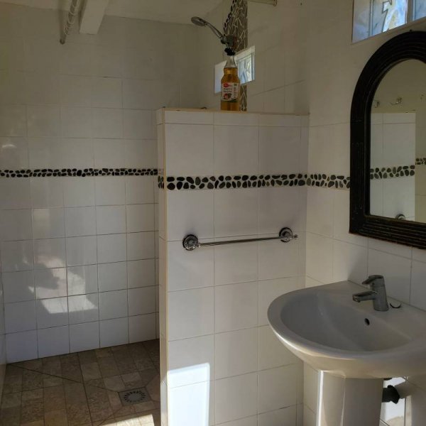 Oasis Moment — Photo 5