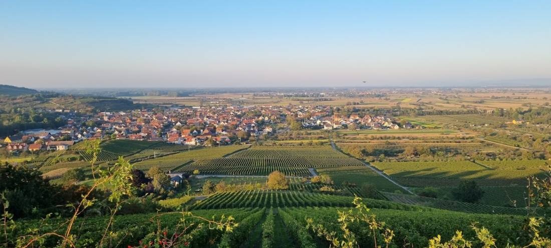 Kais Winzerhof Sasbach am Kaiserstuhl — Winery in Sasbach am Kaiserstuhl