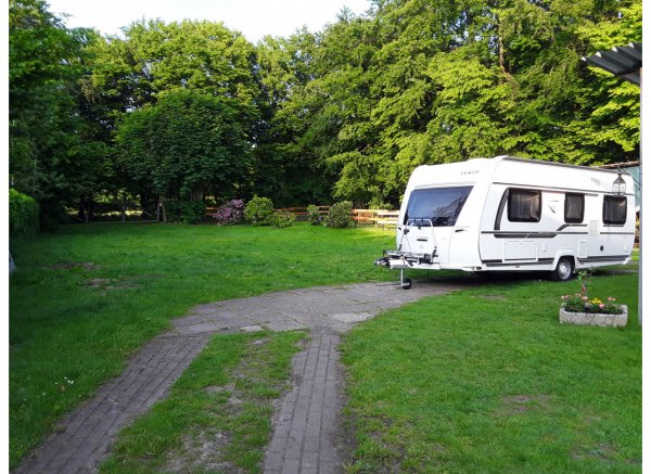Campingplatz Hof Ignatowitsch mit Ponys und Pferden in Ammerland — Fotoğraf 5