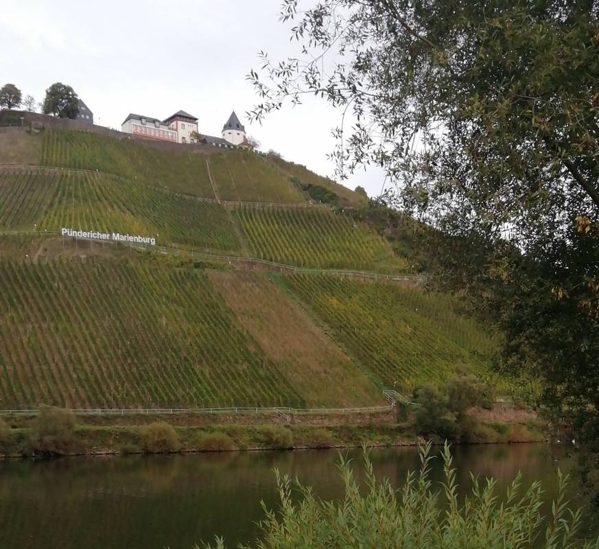 Moselcampingplatz Pünderich — Sítio de acampamento in Traben-Trarbach