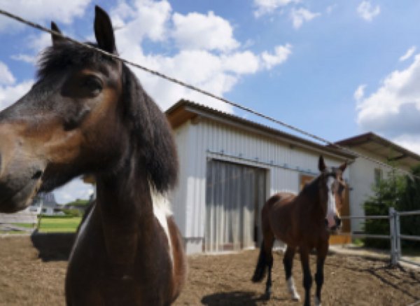 Bauernhof in Hermaringen #2
