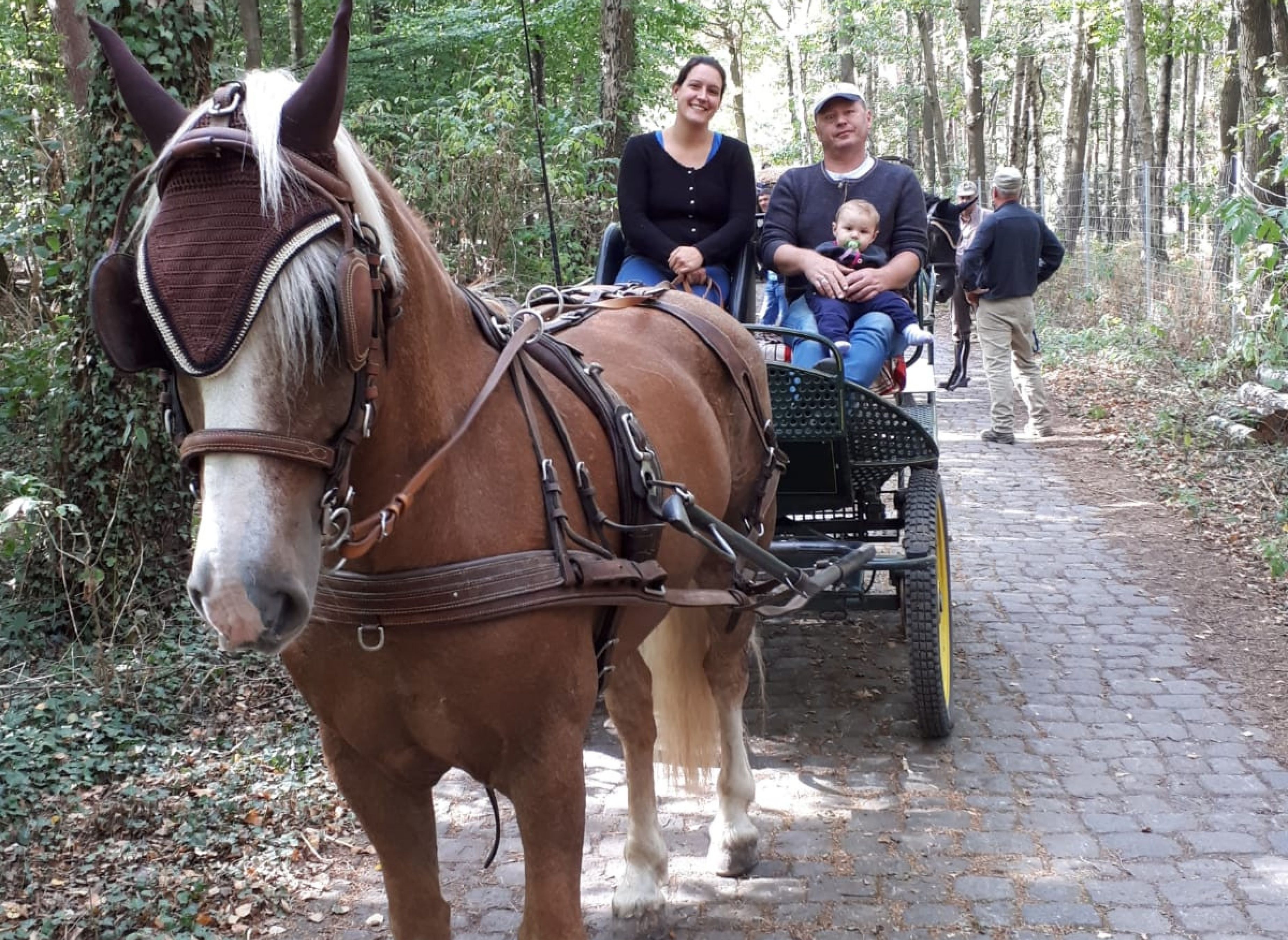 Schöner Stellplatz auf unserem Hof #2 — Camperplaats in Winterspelt