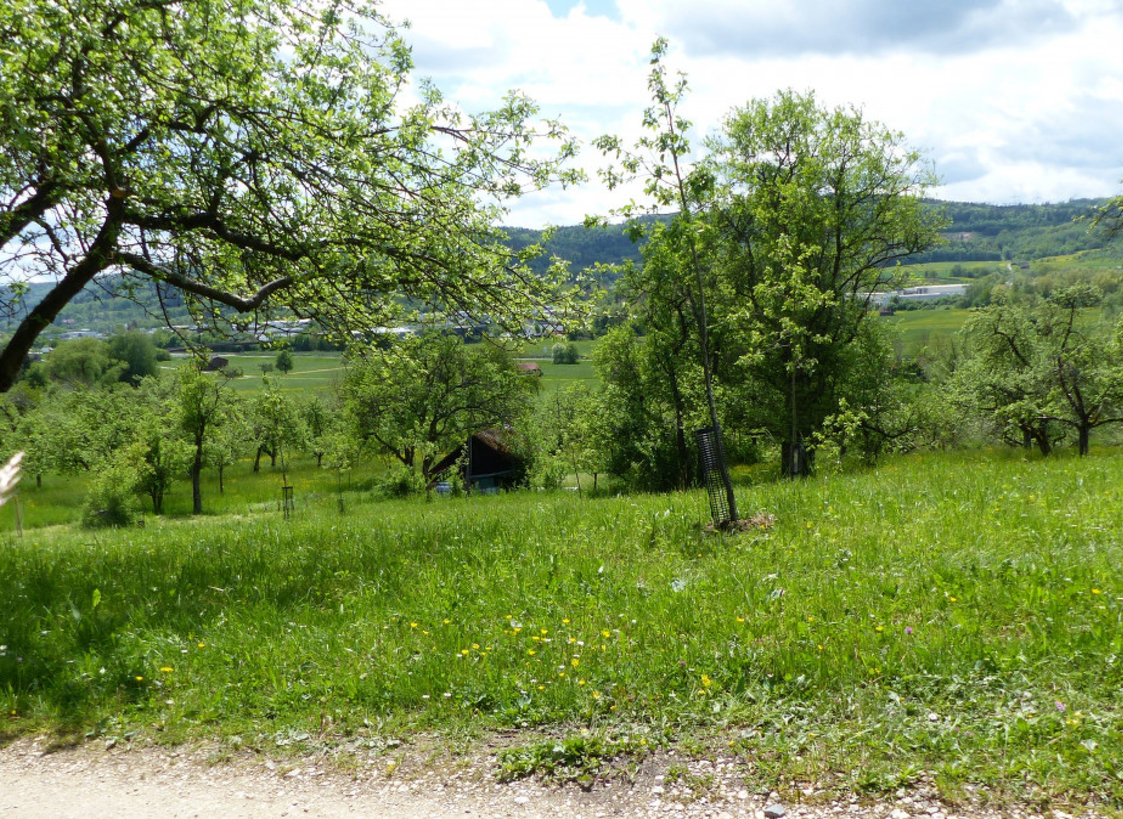 Bio Streuobstwiese Urbach — Ställplats in Urbach