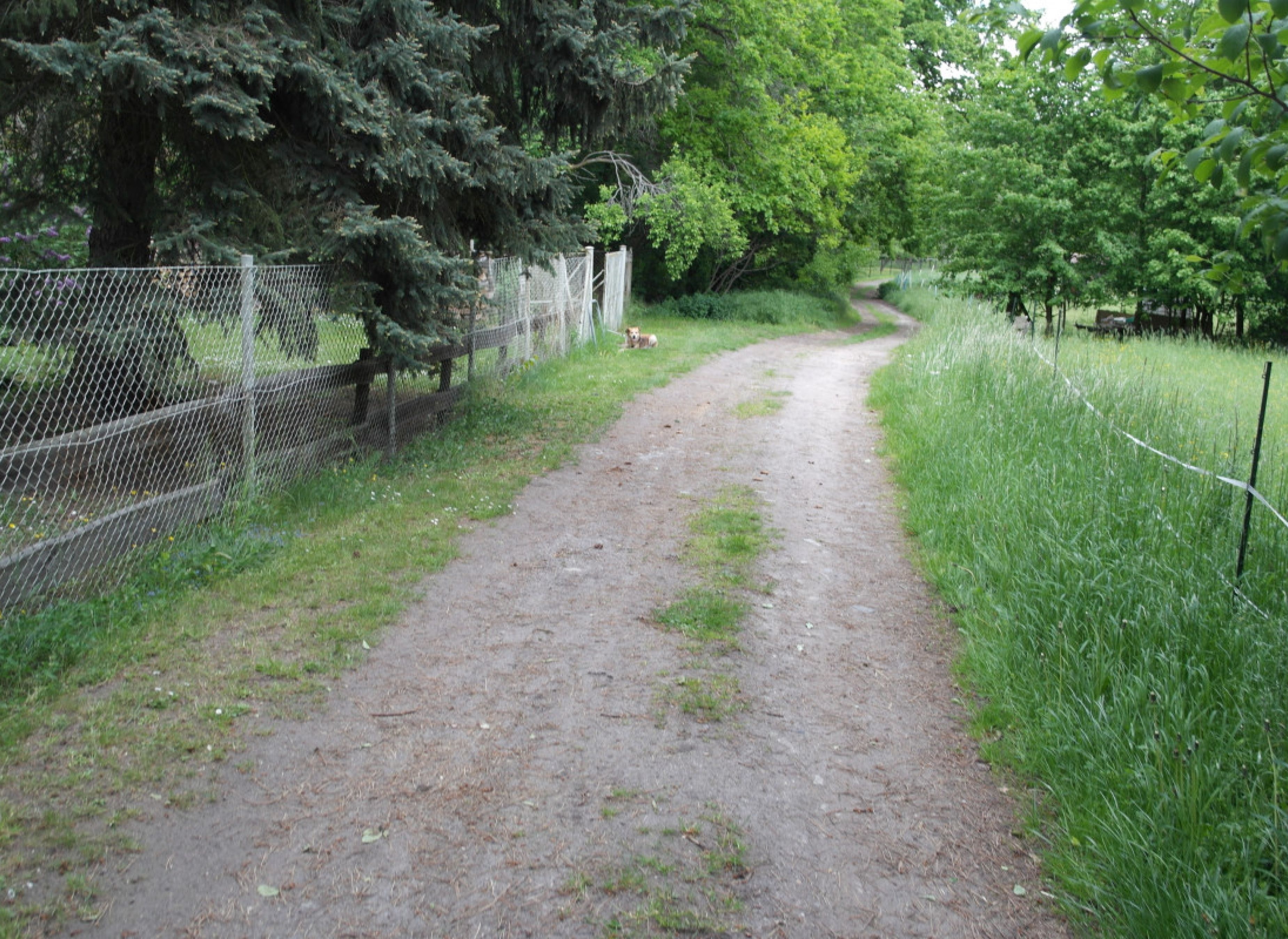 Stellplatz in Spreewaldnähe — Sítio para autocaravanas in Calau