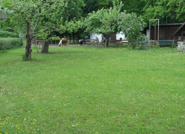 Stellplatz in Spreewaldnähe — Photo 2