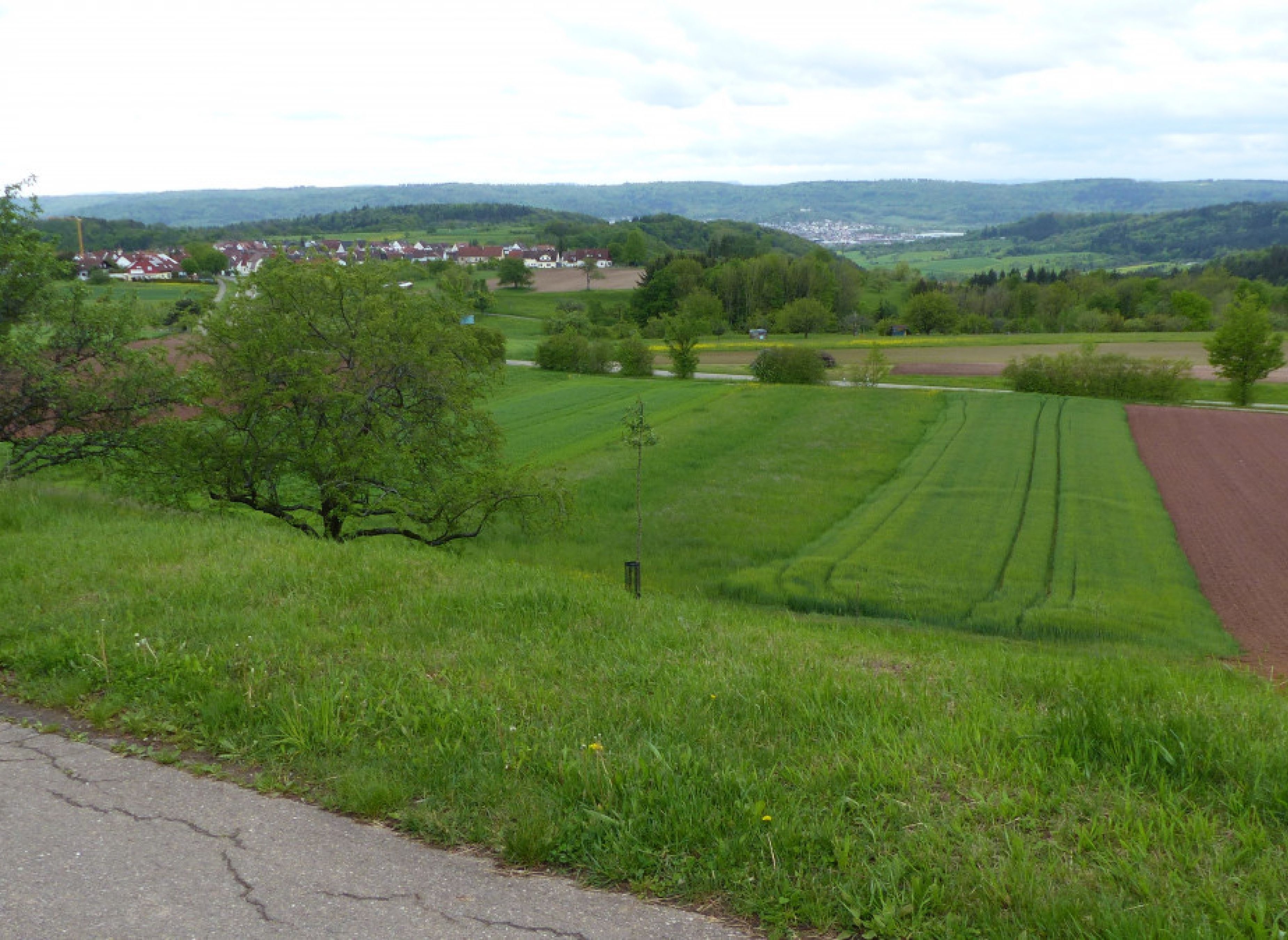 Bio Streuobstwiese Schorndorfer Weitblick — Karavan Sitesi in Schorndorf