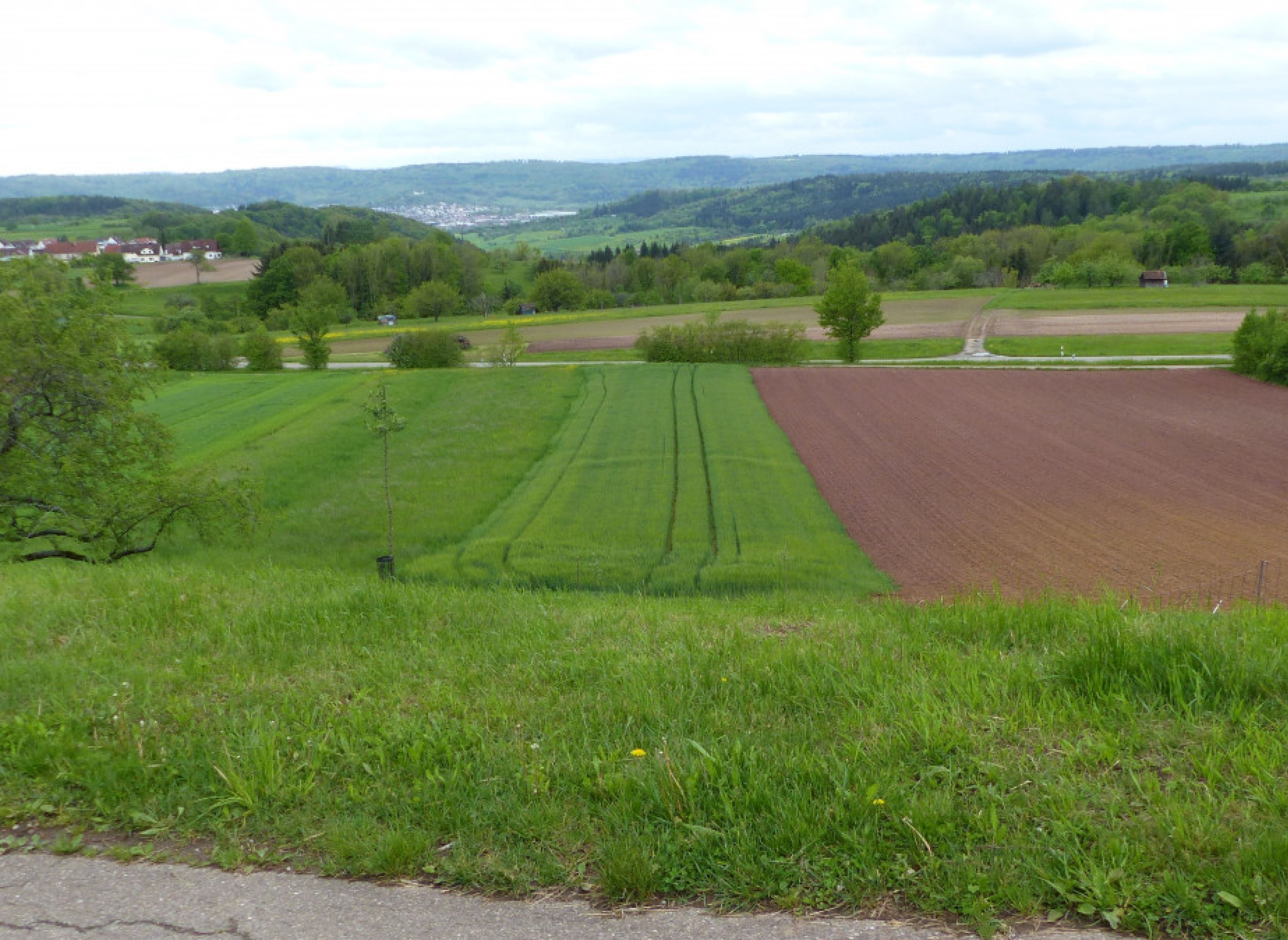 Bio Streuobstwiese Schorndorfer Weitblick — Bobilplass in Schorndorf