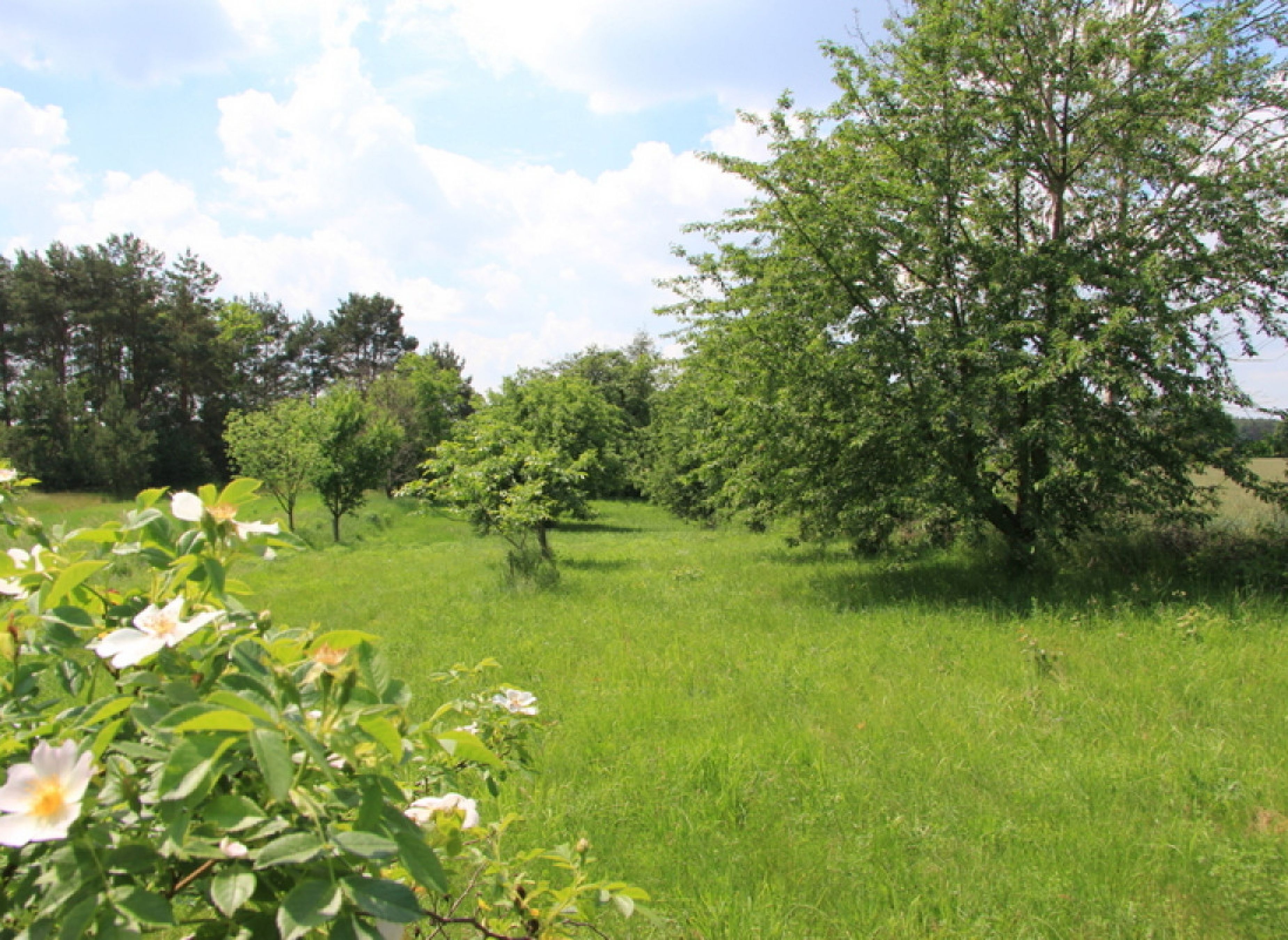 Stellplatz im Lausitzer Seenland — Sítio para autocaravanas in Lohsa