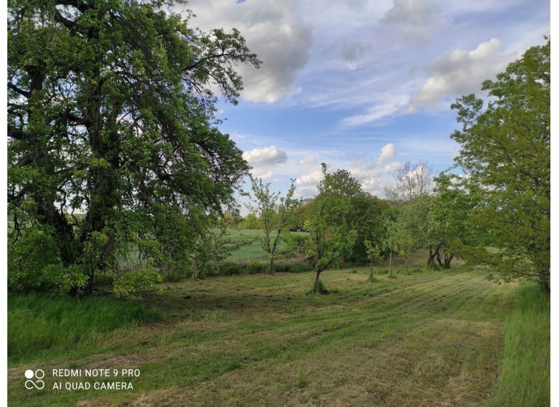 Stellplatz im Lausitzer Seenland — Karavan Sitesi in Lohsa
