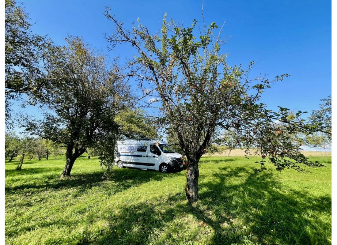 Bio Streuobstwiese Weissach im Tal  Idylle — Місце для кемперів in Weissach im Tal