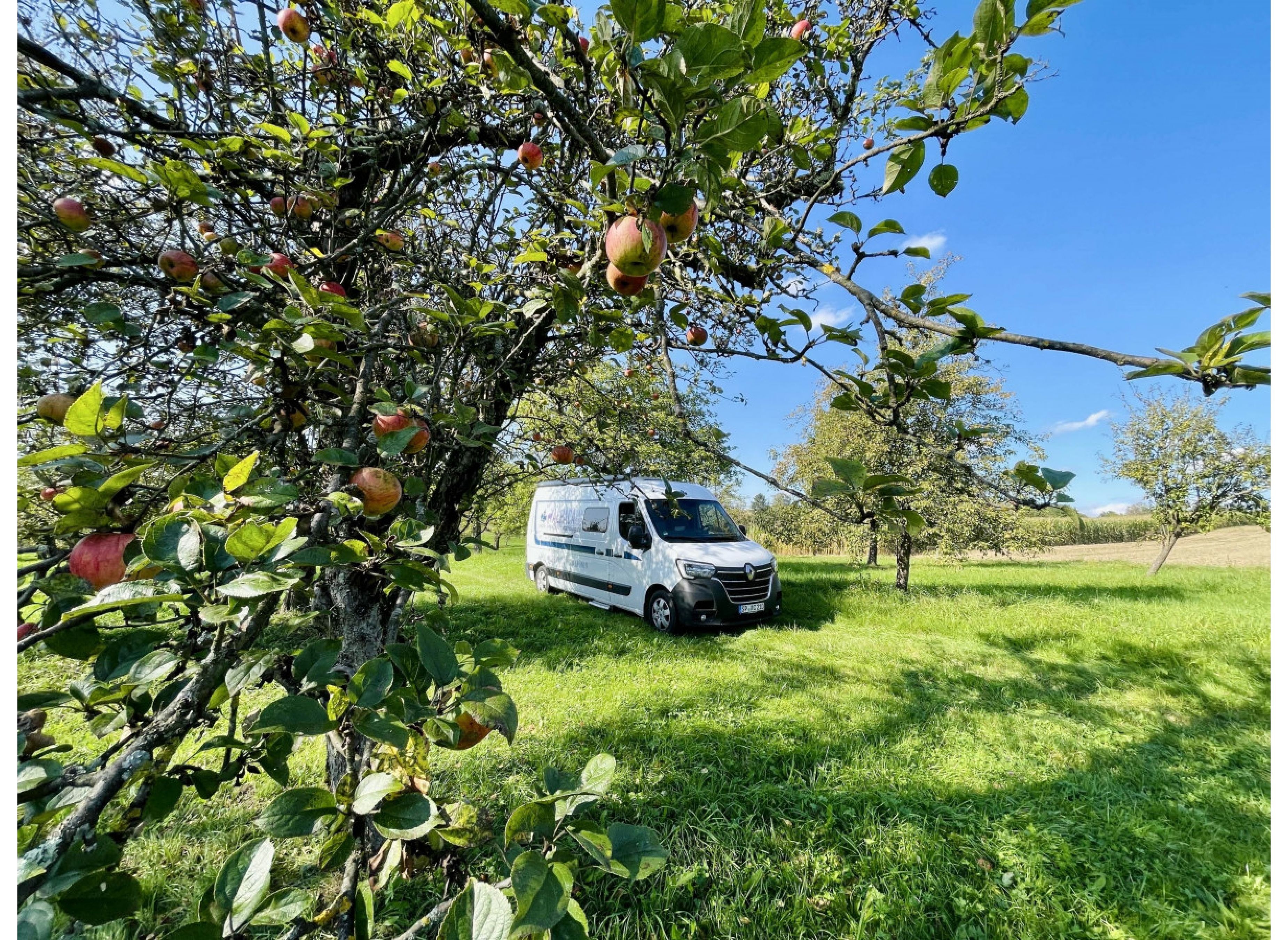 Bio Streuobstwiese Weissach im Tal  Idylle — Camperplads in Weissach im Tal