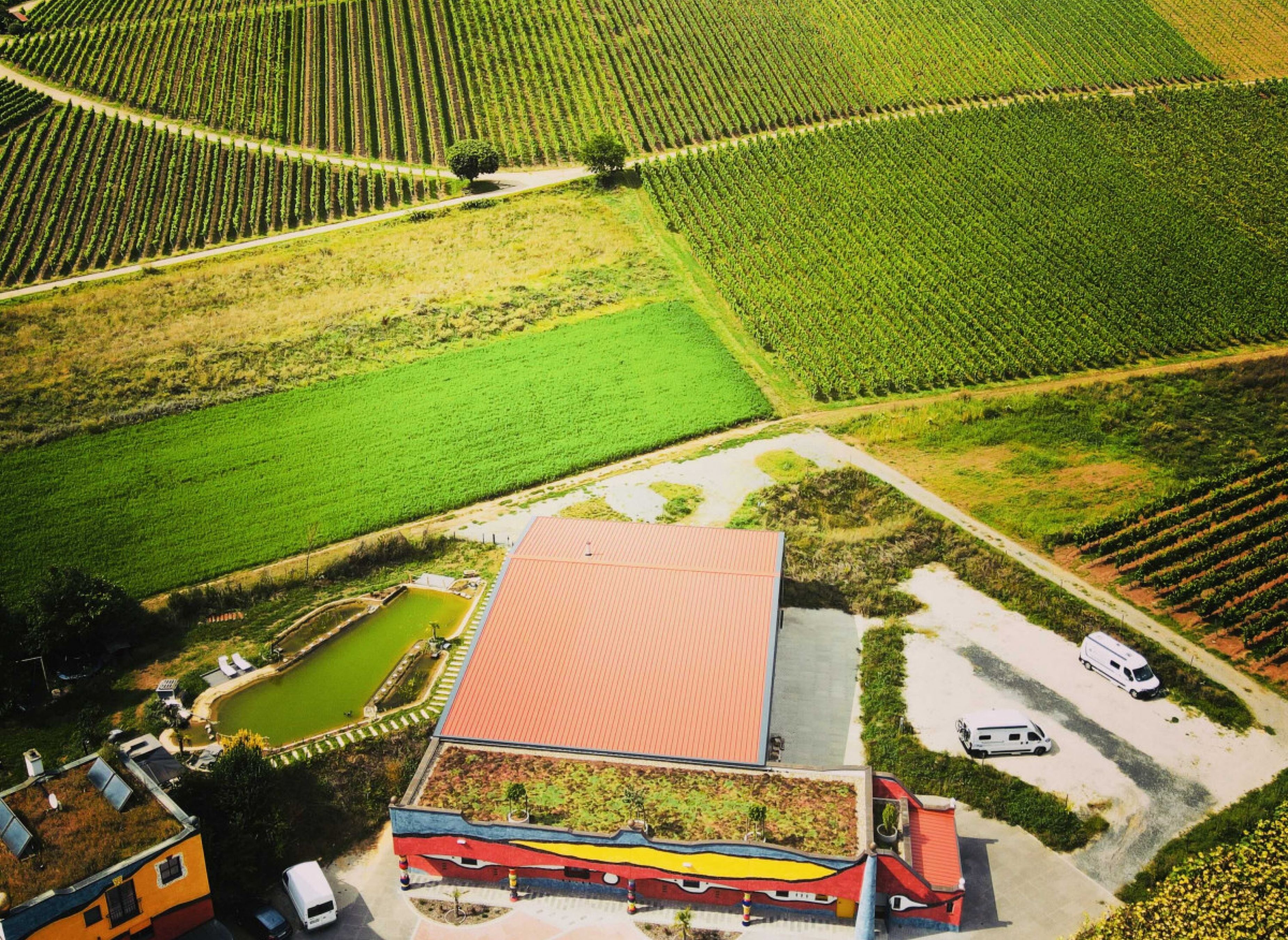 Weingut Hirn & HUNDERTWASSER-Artikel #4 — Vignoble in Eisenheim
