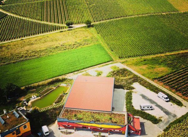 Weingut Hirn & HUNDERTWASSER-Artikel #4