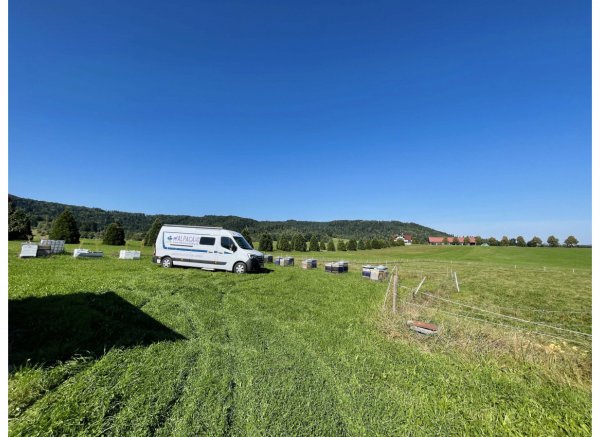 Am Waldrand mit Weitblick #2 — Photo 2