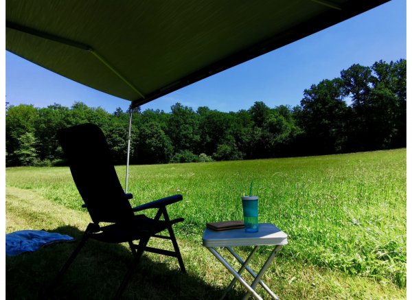 Netzlos glücklich am Waldrand — Photo 2