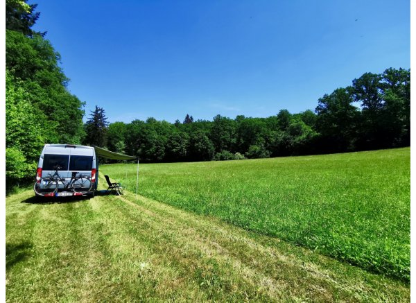 Netzlos glücklich am Waldrand