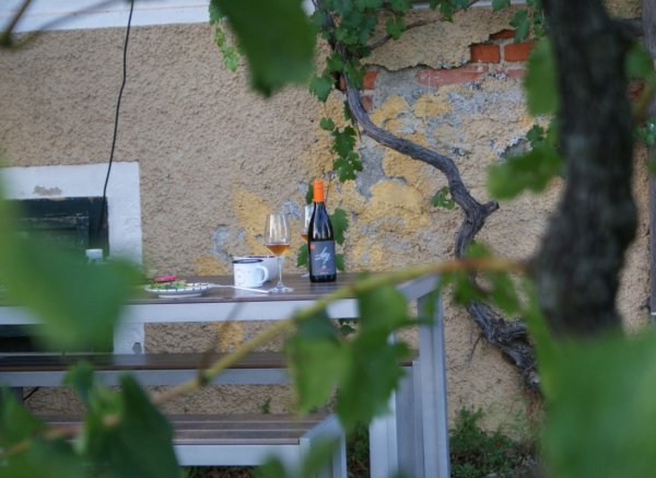 Vom Weinberg ins Steirische Vulkanland reinschauen — Photo 2
