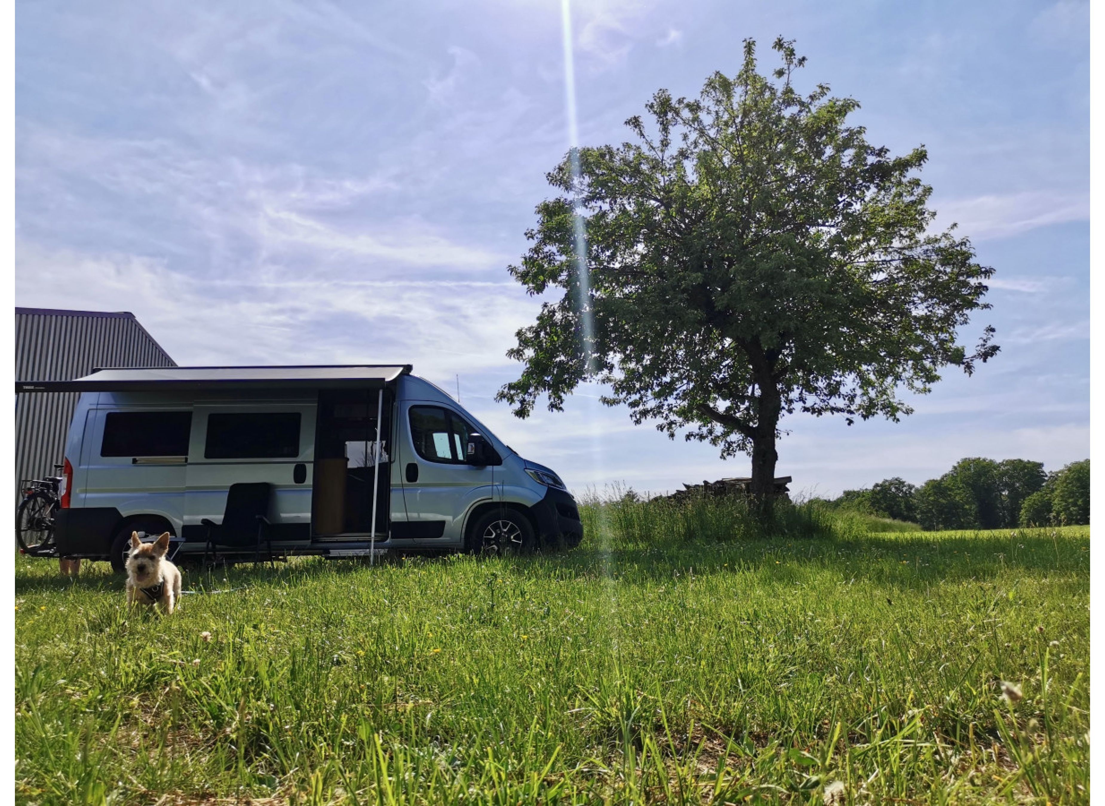Auf der Wiese am Waldrand — Campervan Site in Seckach