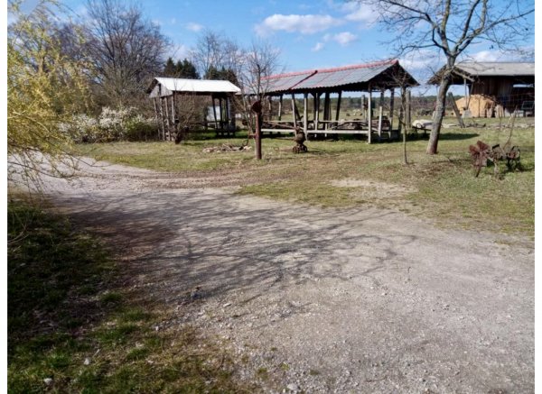 Am Schafgehege #2 — Photo 2