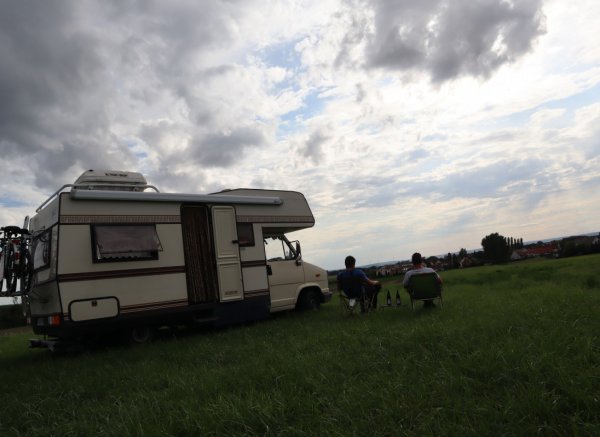 Träumen unter Bäumen #2