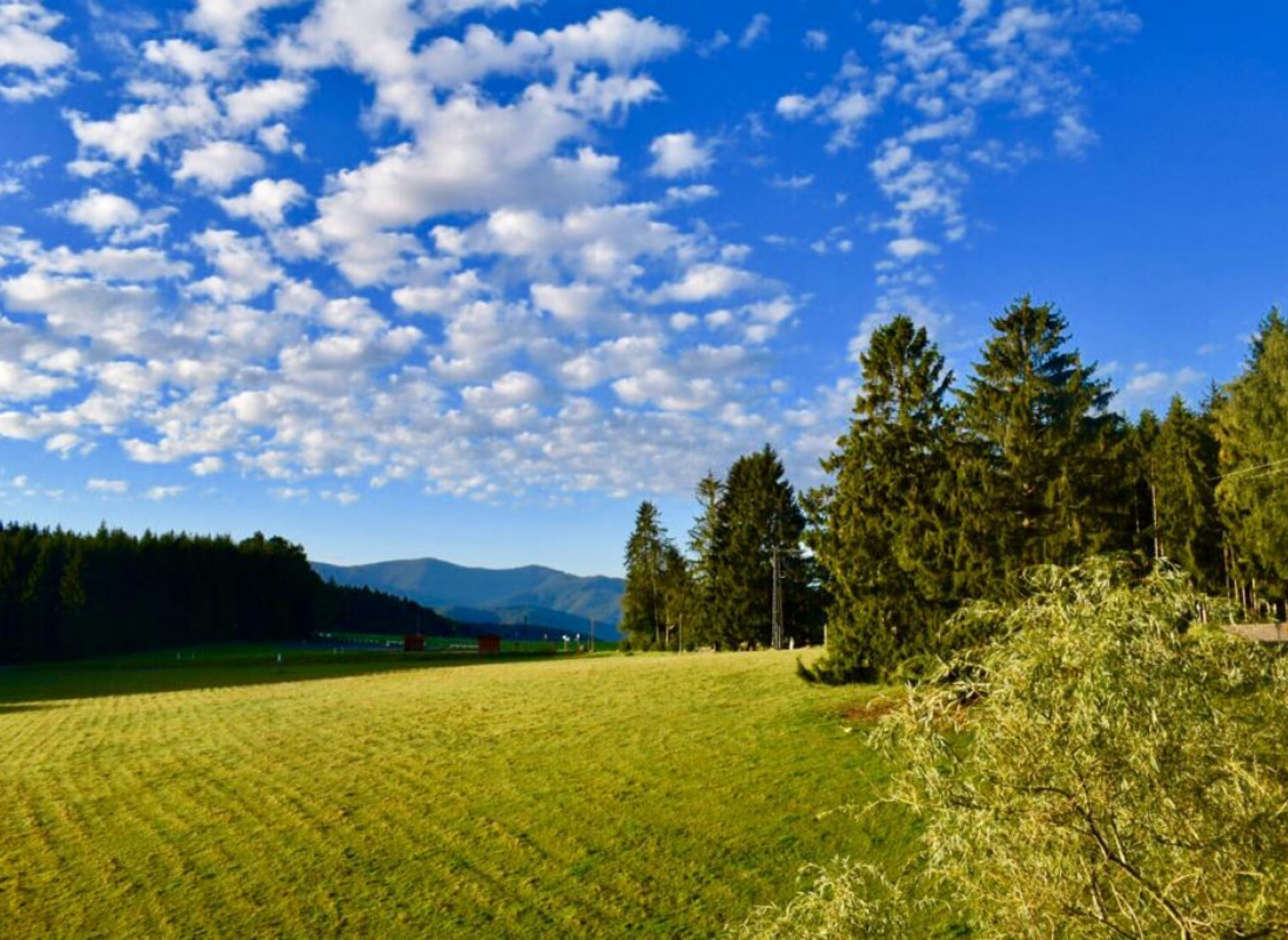 Wunderschöner Panoramaplatz mit Blick auf den Schwarzwald #2 — Aire camping car in Mühlenbach