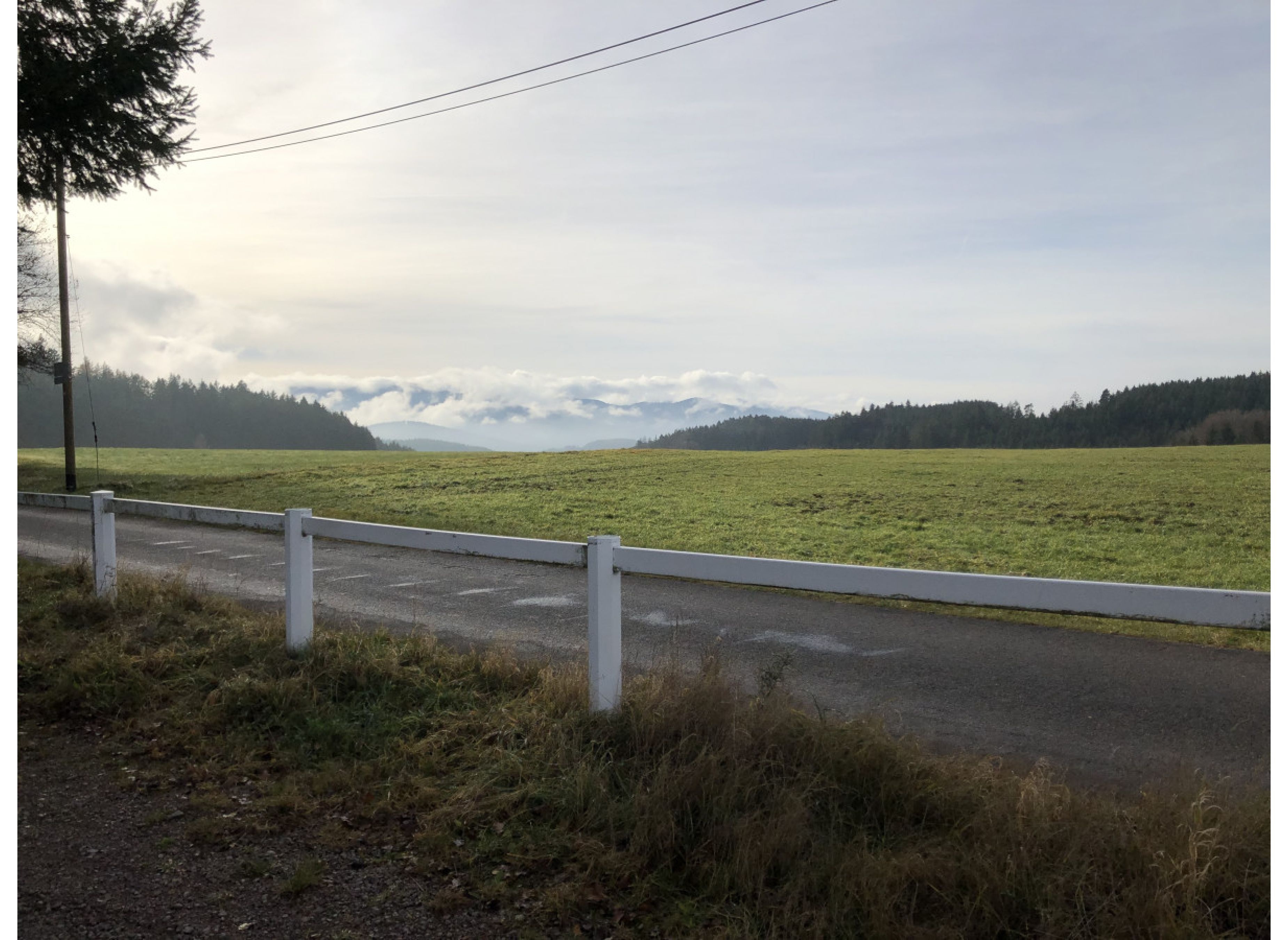 Wunderschöner Panoramaplatz mit Blick auf den Schwarzwald #2 — Camperplaats in Mühlenbach